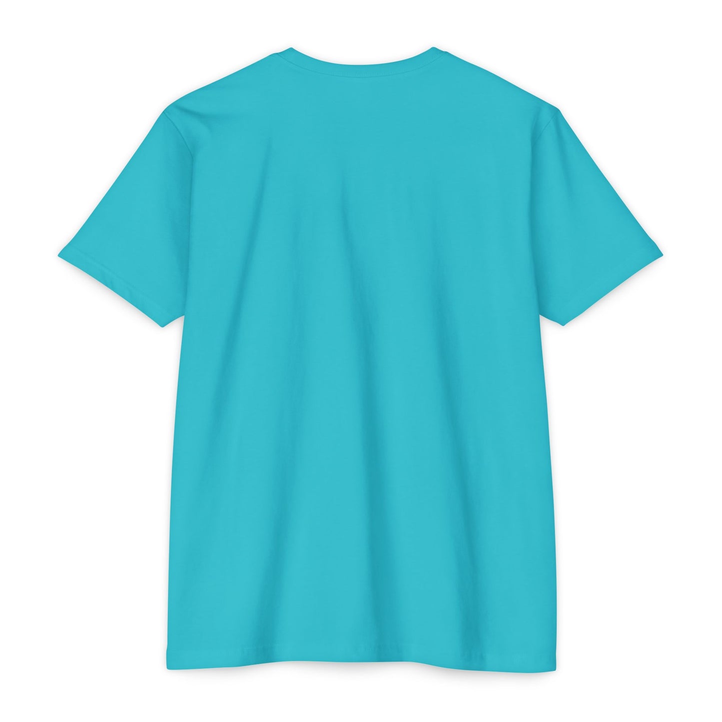 Unashamed T-Shirt — Unashamed Corrections Pride T Shirt