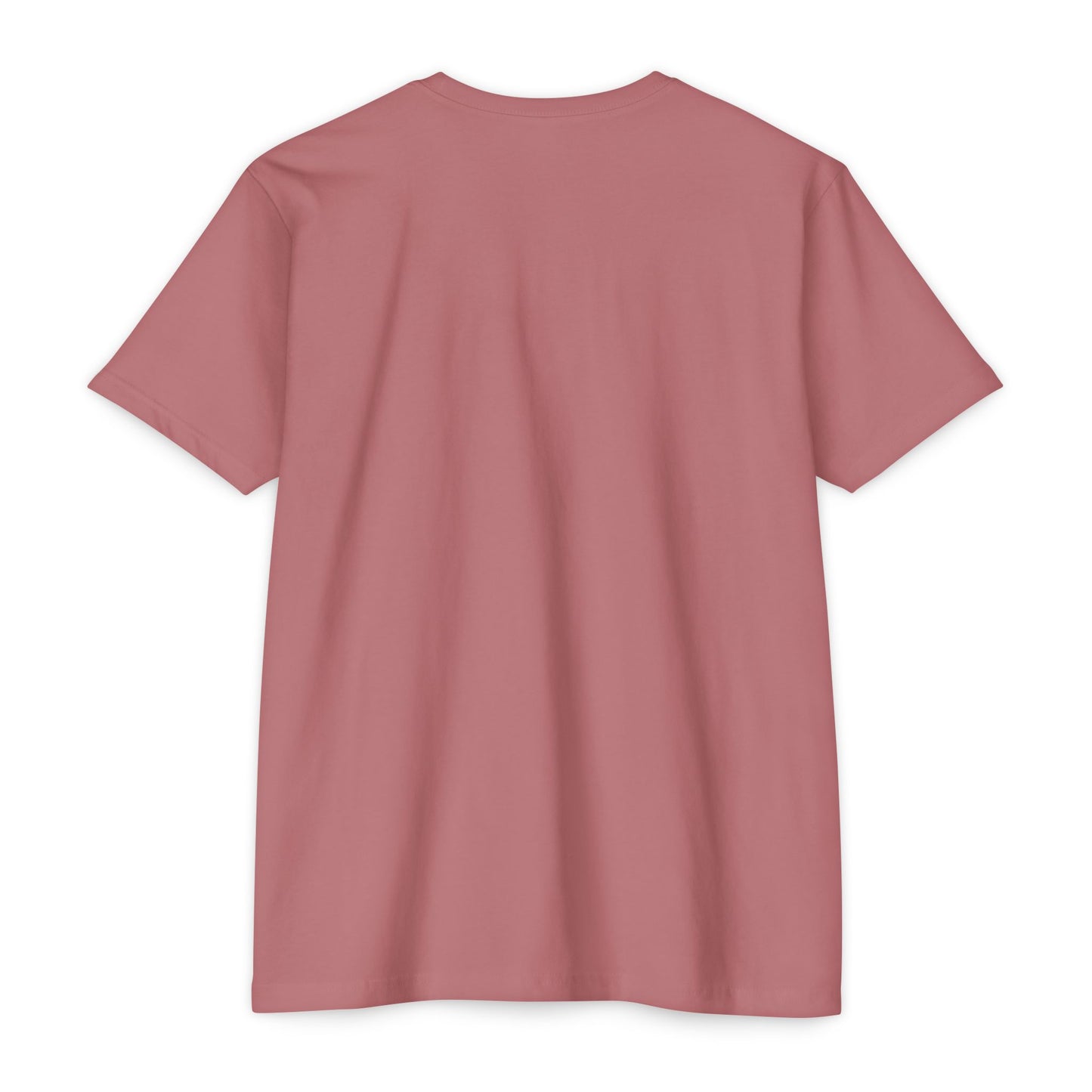 Unashamed T-Shirt — Unashamed Corrections Pride T Shirt
