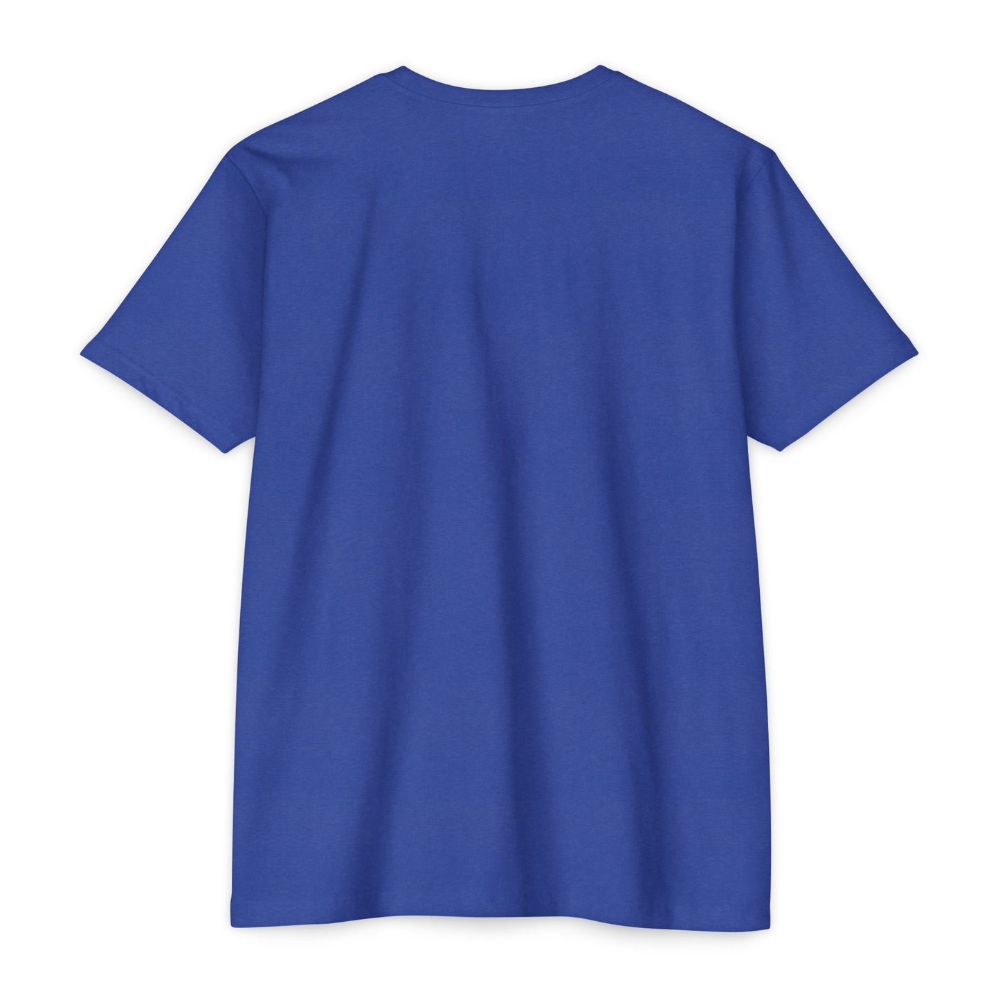 Unashamed T-Shirt — Unashamed Corrections Pride T Shirt