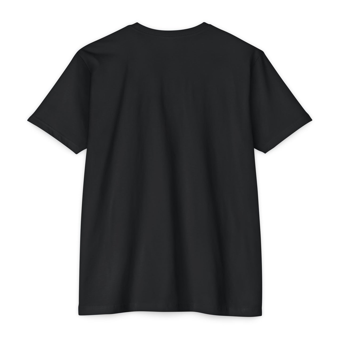 Distressed Thin Blue Line Flag T-Shirt — Police Support Tee