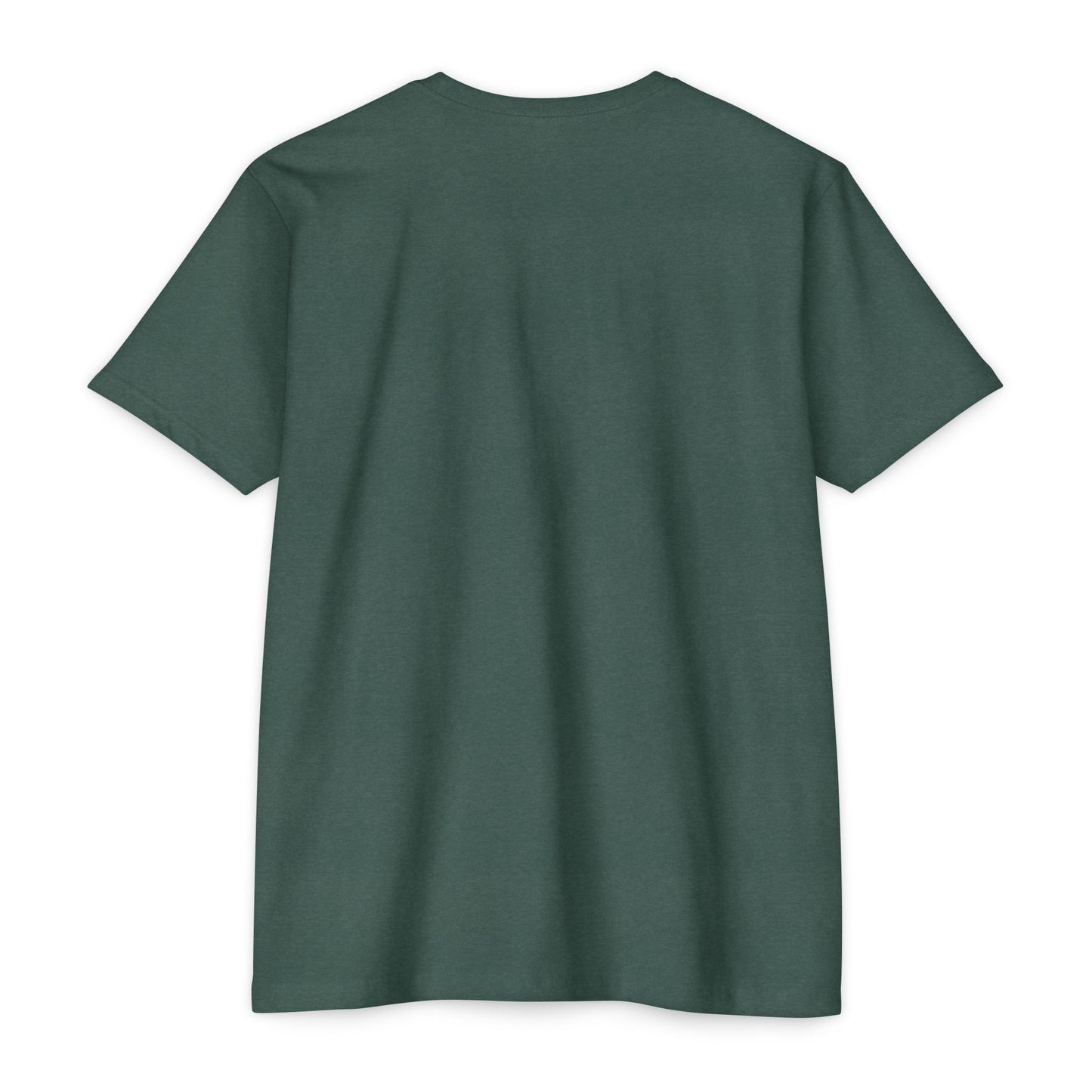 Unashamed T-Shirt — Unashamed Corrections Pride T Shirt