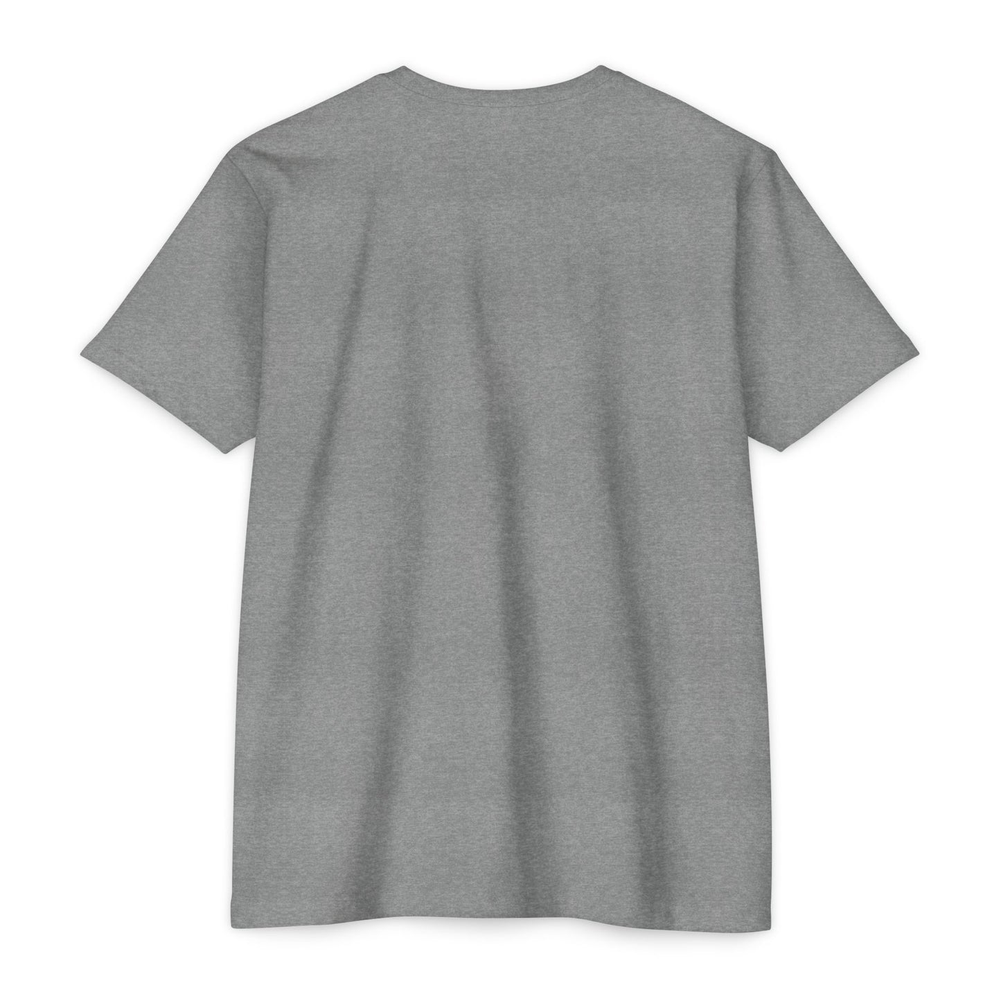 Unashamed T-Shirt — Unashamed Corrections Pride T Shirt