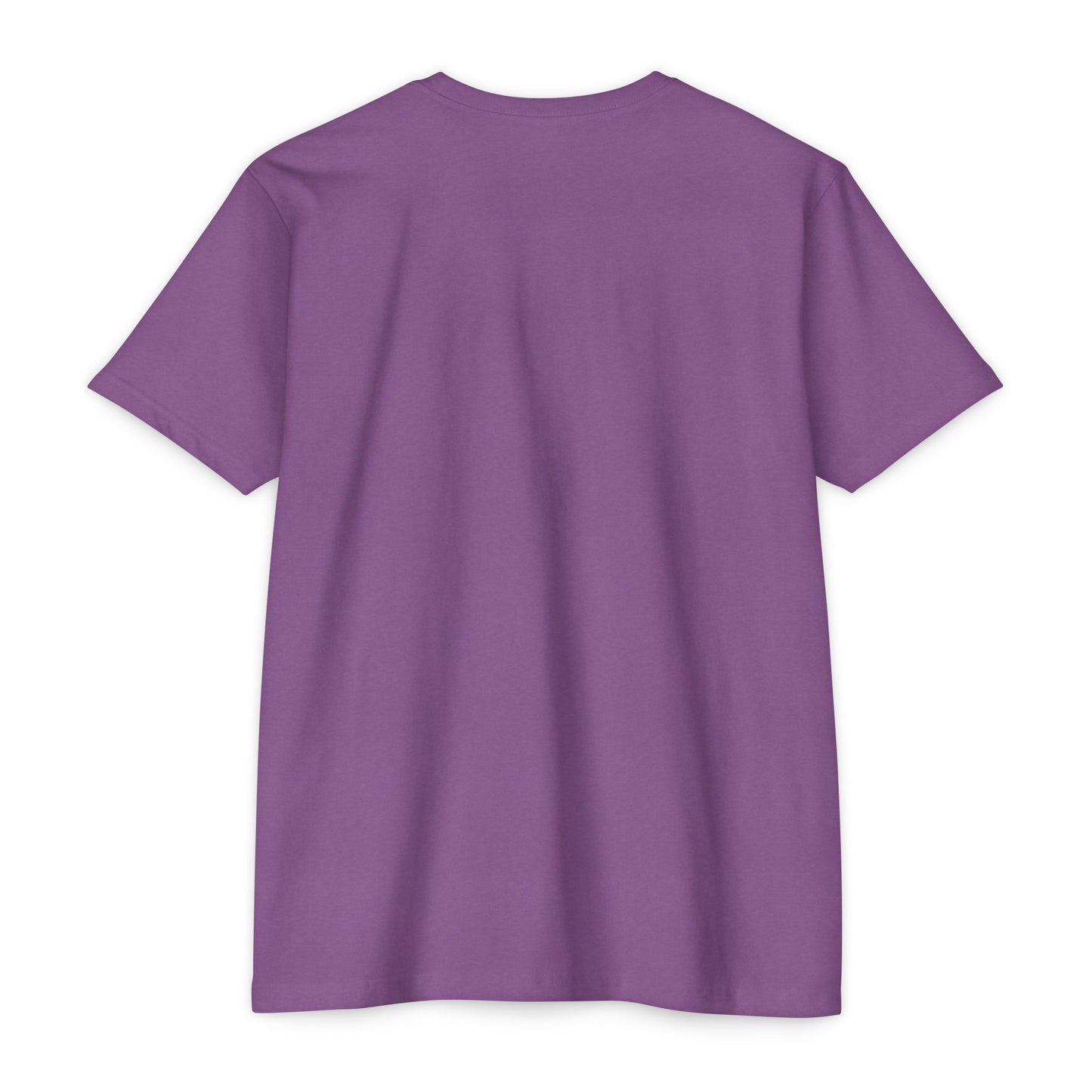 Unashamed T-Shirt — Unashamed Corrections Pride T Shirt