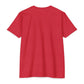 Unashamed T-Shirt — Unashamed Corrections Pride T Shirt